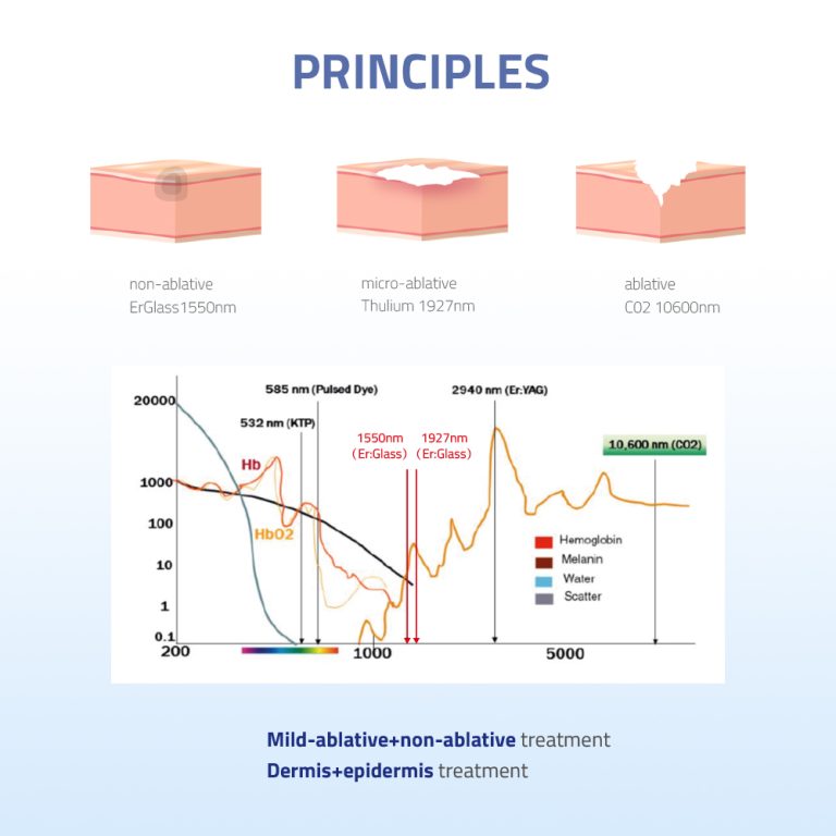 1550主图 - NEW0606 拷贝5